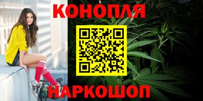 крисы Малоярославец