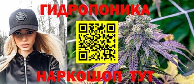 прущие грибы Малгобек